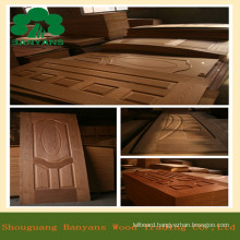 Veneered HDF/MDF Door Skin Deep Moulded